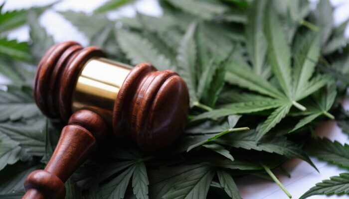 Marijuana Legalization: A Global Guide to Laws and Regulations